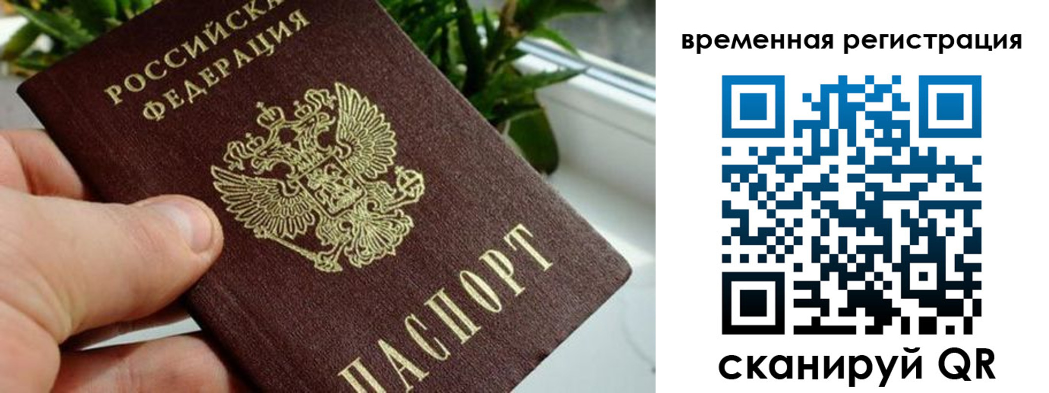 прописка поиск в Ельце